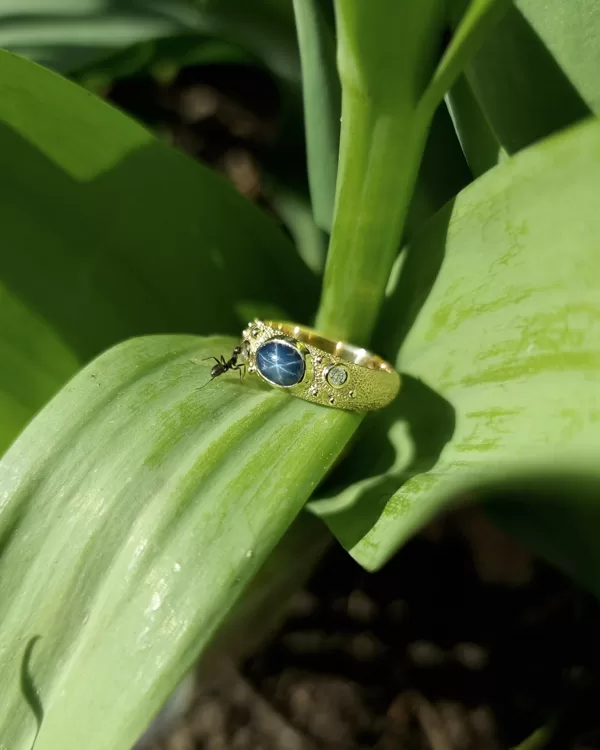 Yellow gold, star sapphire, diamonds